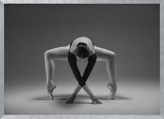Elegant - Poster / Art Print
