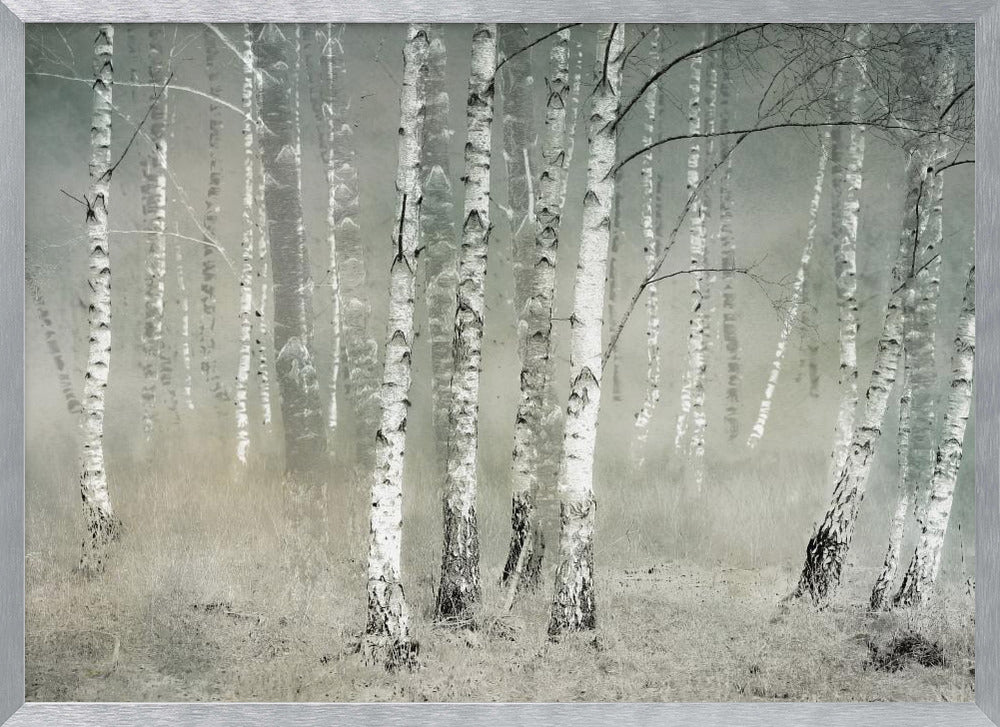 Morning silence - Poster / Art Print