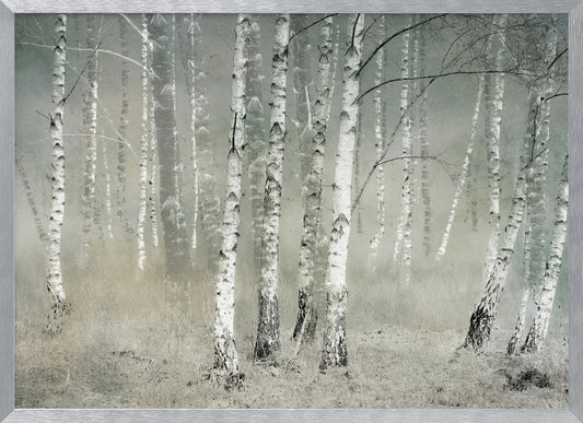 Morning silence - Poster / Art Print