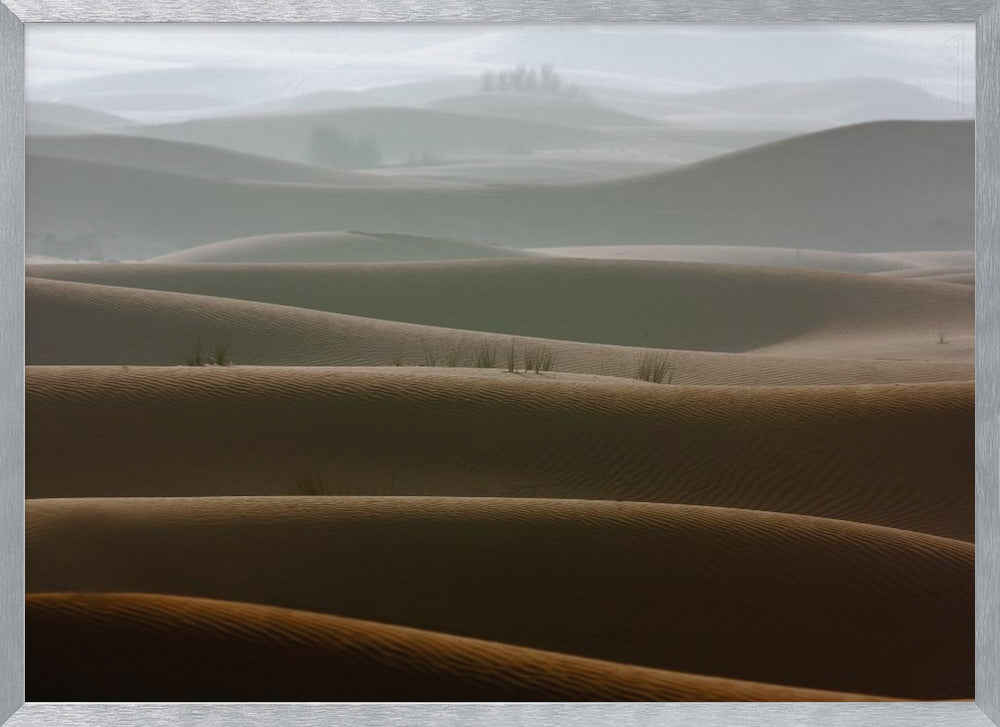 Foggy morning - Poster / Art Print