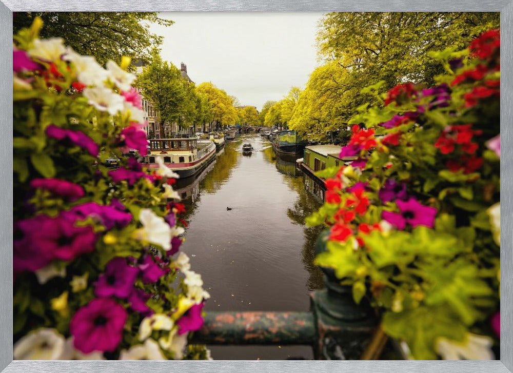 Floral in Amsterdam - Poster / Art Print