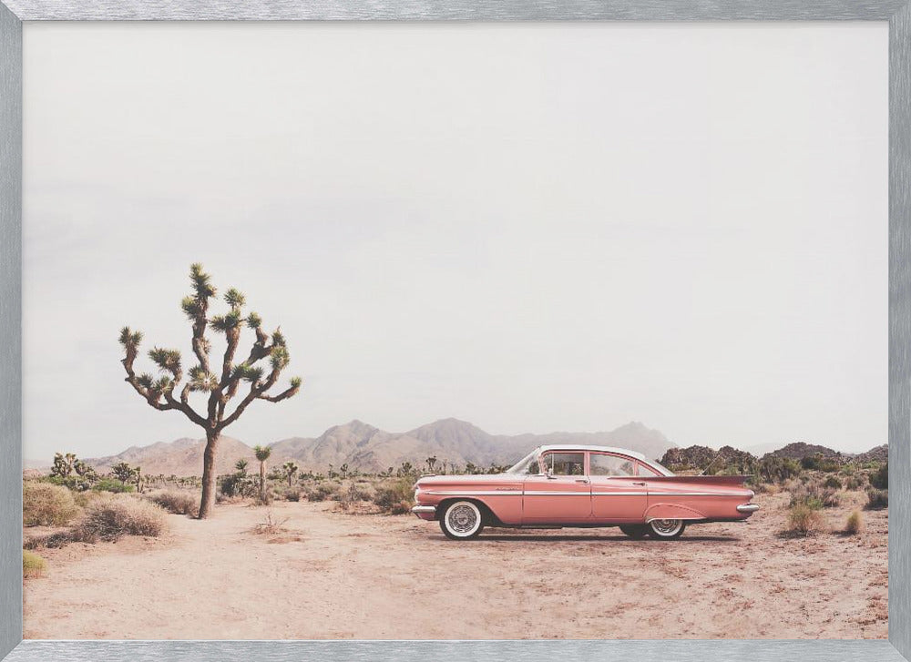 In the desert - Poster / Art Print