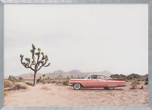 In the desert - Poster / Art Print