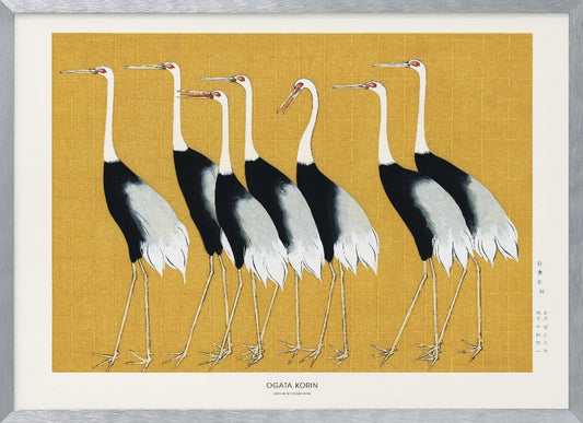 Japanese Red Crown Crane - Poster / Art Print