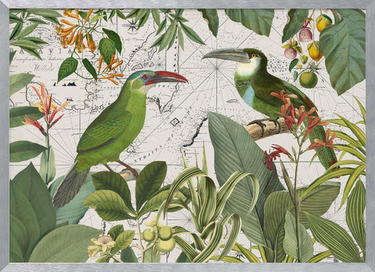 Parrots Nostalgic Journey 3 - Poster / Art Print