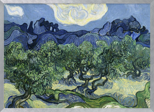Vincent Van Gogh's Olive Trees With the Alpilles In the Background (1889) - Poster / Art Print