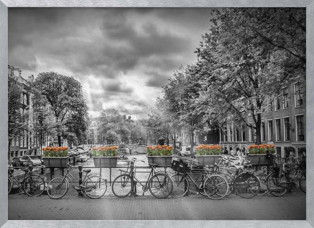 Typical Amsterdam - Poster / Art Print