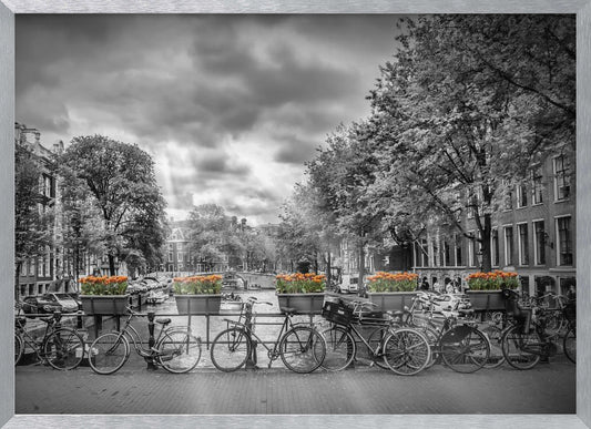 Typical Amsterdam - Poster / Art Print