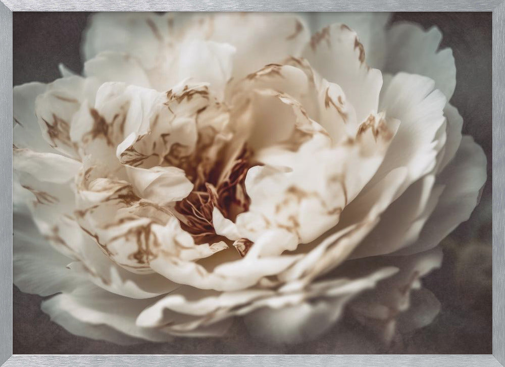 Nostalgicnatureno21 - Poster / Art Print