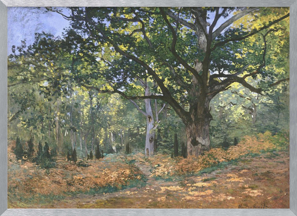 The Bodmer Oak, Fontainebleau Forest (1865) By Claude Monet - Poster / Art Print