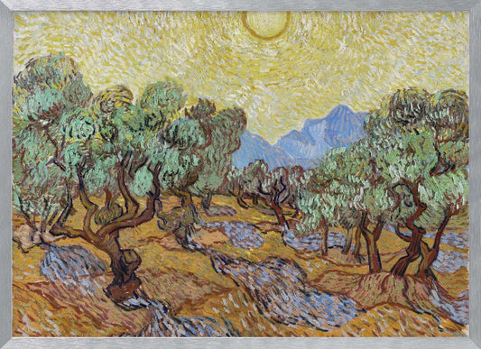 Vincent Van Gogh's Olive Trees (1889) - Poster / Art Print