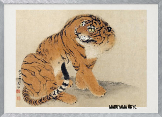 Sitting Tiger (1777) - Poster / Art Print