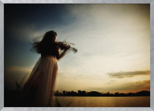 Sweet violin - Poster / Art Print