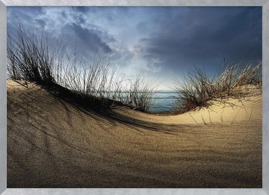 Dunes........... - Poster / Art Print