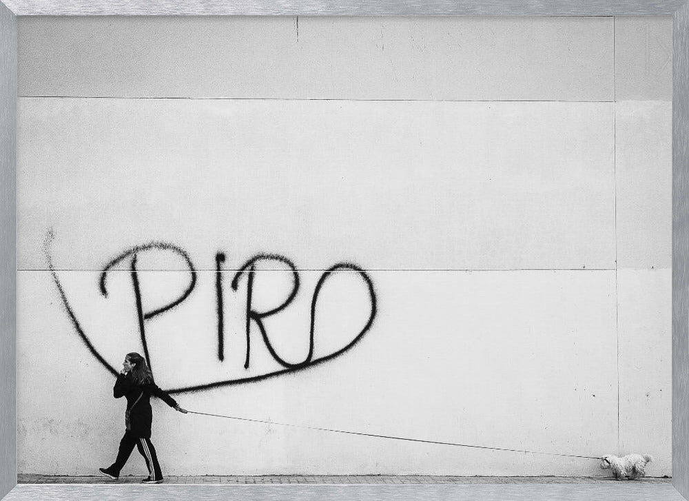 The Lady with the Dog - Poster / Art Print