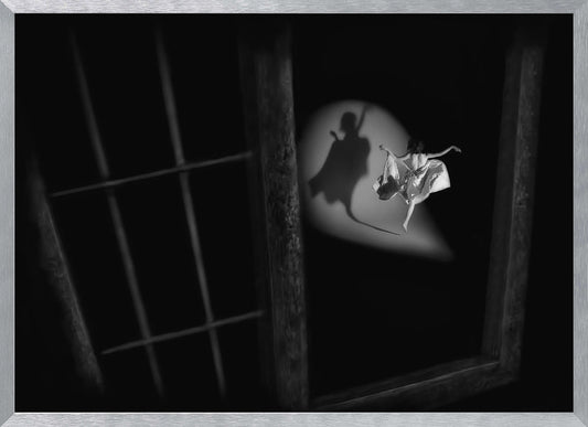 see my shadow - Poster / Art Print