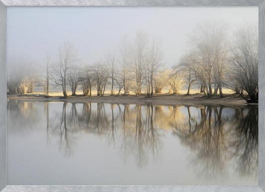 january morning - Poster / Art Print