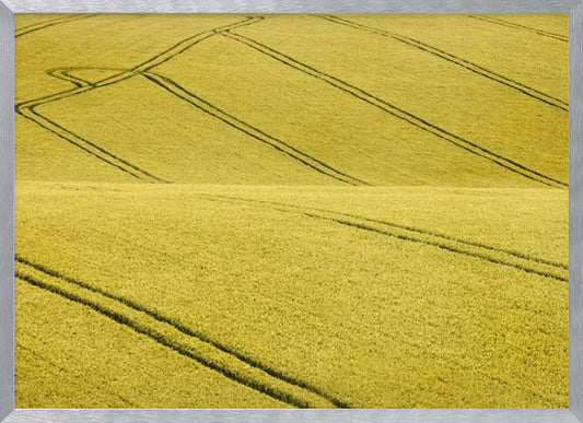 Field #2 - Poster / Art Print