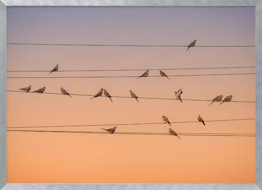 Music of Light - Poster / Art Print