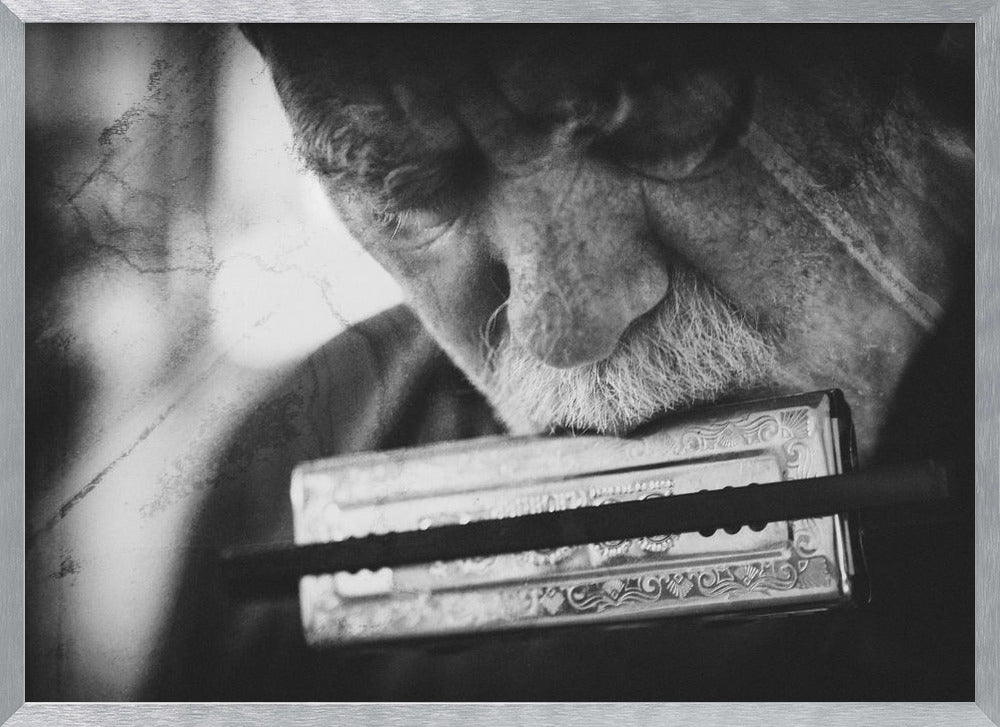 Wolf with harmonica - Poster / Art Print