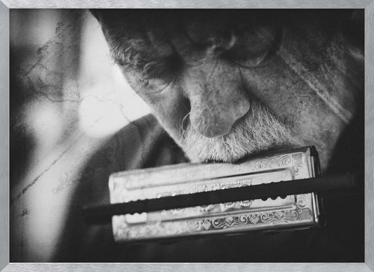 Wolf with harmonica - Poster / Art Print