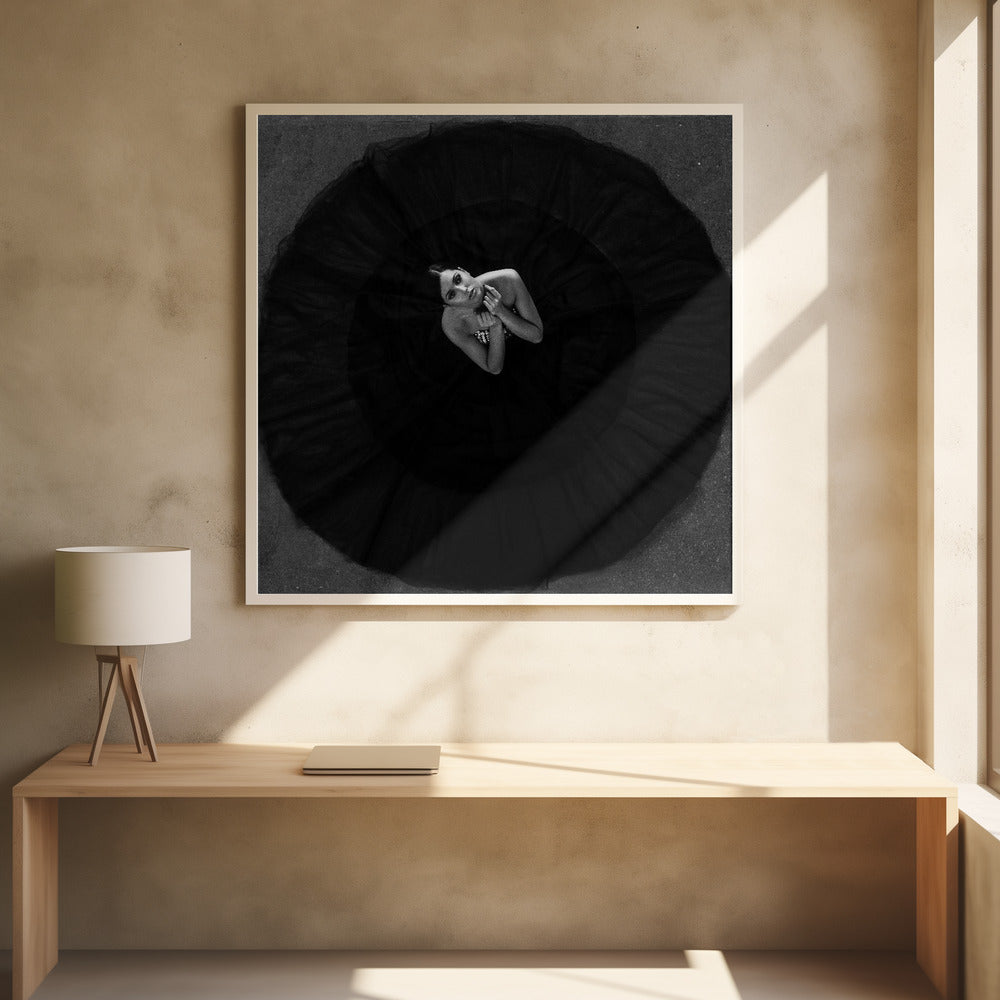 Black swan - Poster / Art Print