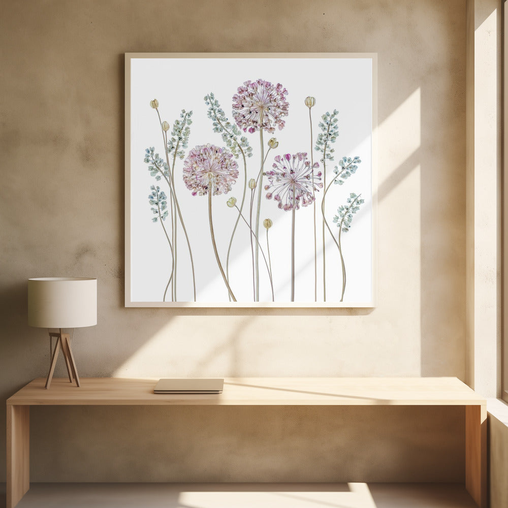 Allium - Poster / Art Print