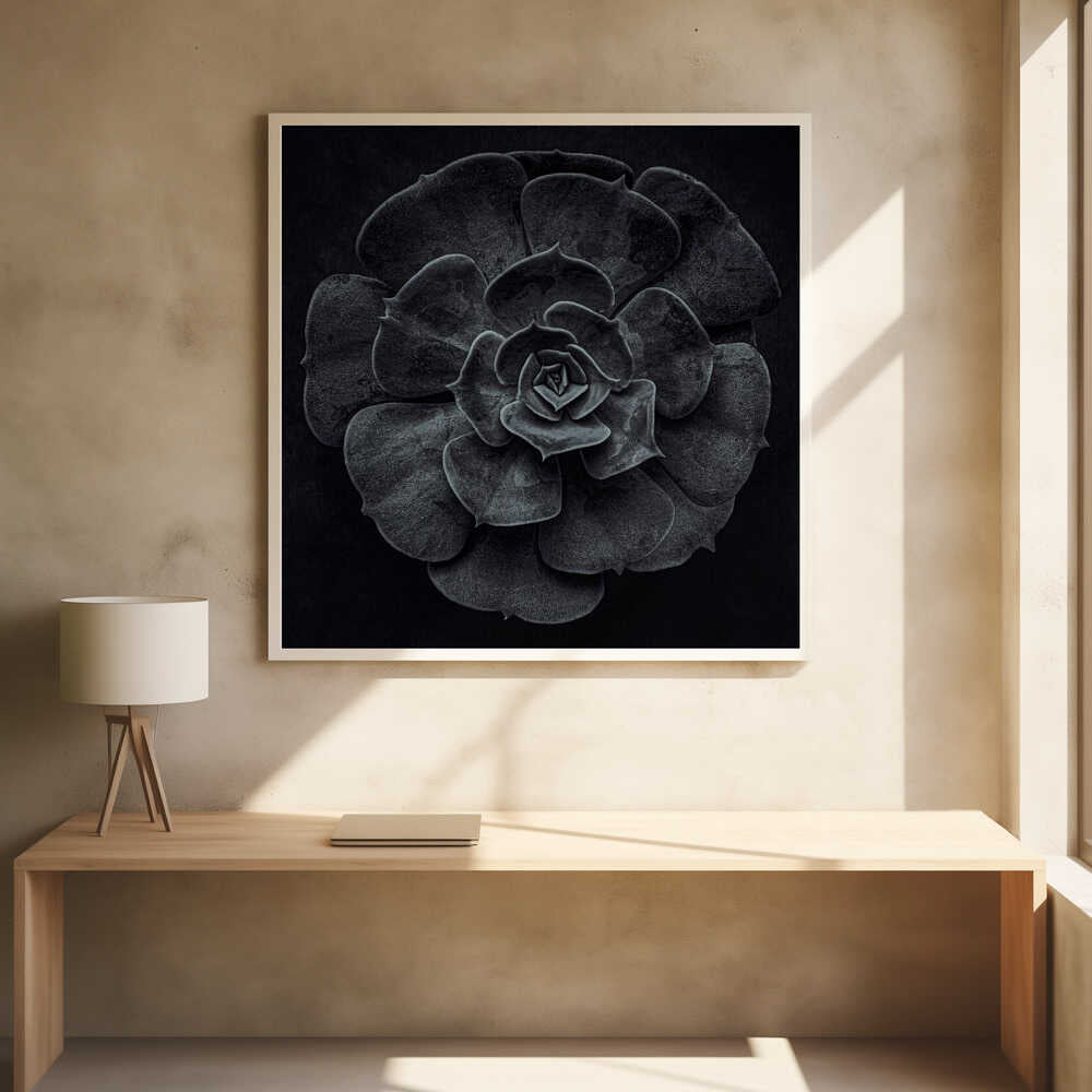 Cactus flower - Poster / Art Print