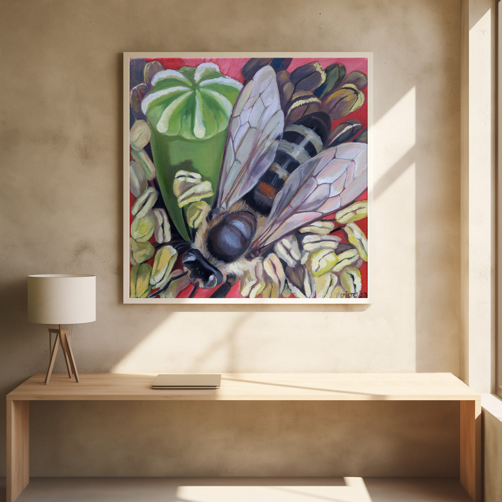 Hornet Hoverfly On Poppies - Poster / Art Print