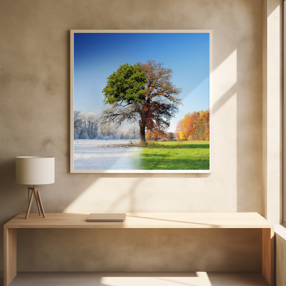 4 seasons - Poster / Art Print