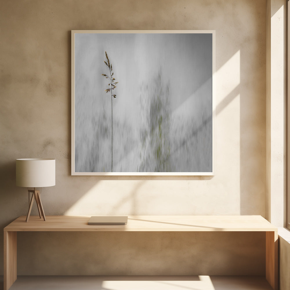 blade of grass - Poster / Art Print