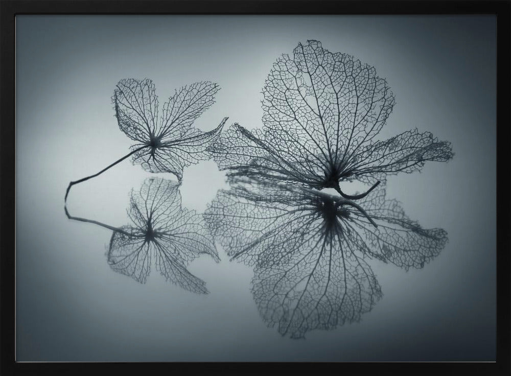 Ephemeral Beauty - Poster / Art Print