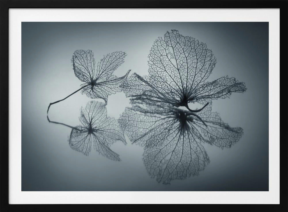 Ephemeral Beauty - Poster / Art Print