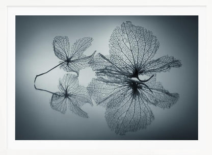 Ephemeral Beauty - Poster / Art Print