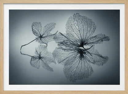 Ephemeral Beauty - Poster / Art Print