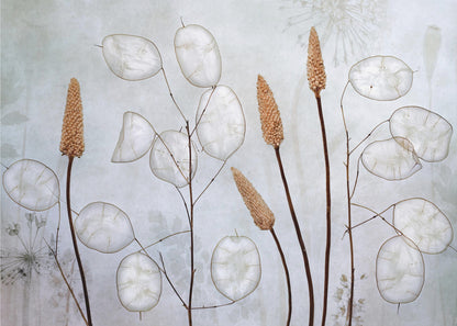 Lunaria - Poster / Art Print