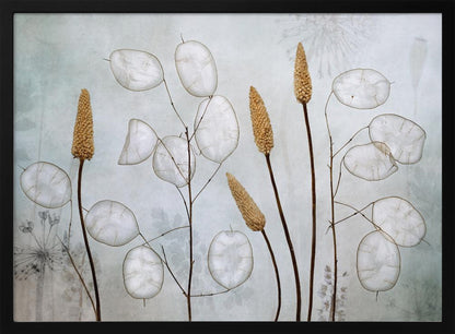 Lunaria - Poster / Art Print