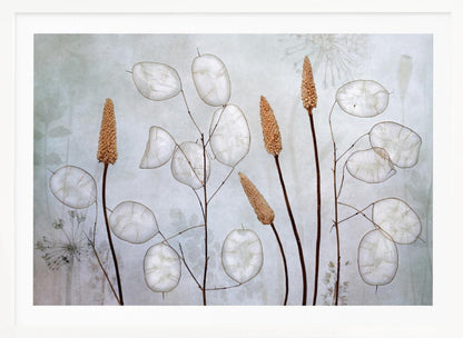 Lunaria - Poster / Art Print