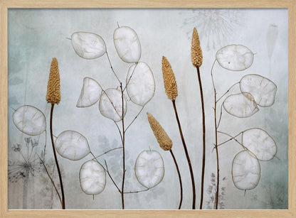 Lunaria - Poster / Art Print