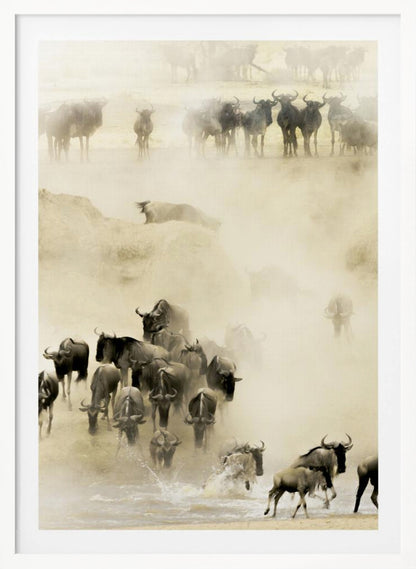 Swarming - Poster / Art Print