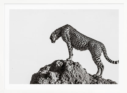 the hunter - Poster / Art Print