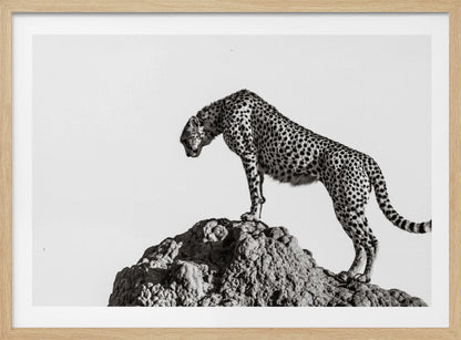 the hunter - Poster / Art Print