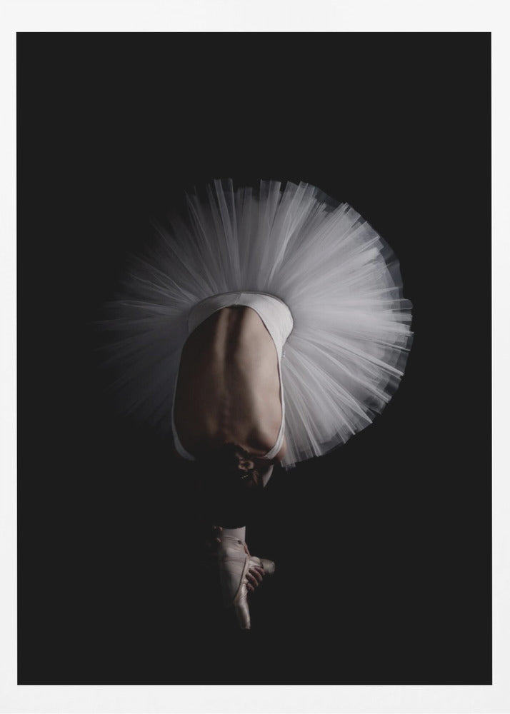 Flower - Poster / Art Print
