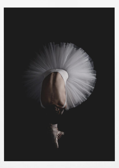 Flower - Poster / Art Print