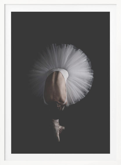Flower - Poster / Art Print