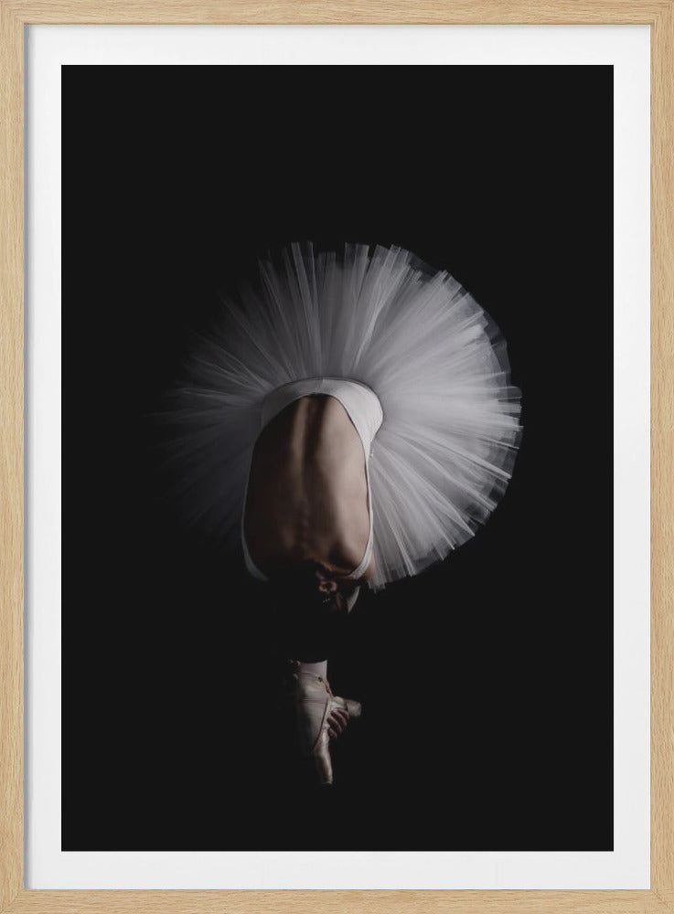 Flower - Poster / Art Print
