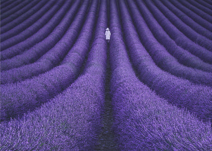 SHE - Poster / Art Print