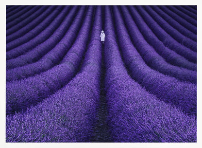 SHE - Poster / Art Print