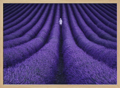 SHE - Poster / Art Print