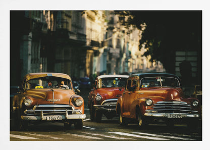 Come with me in the morning light - Poster / Art Print